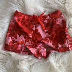 Toddler boy swim shorts